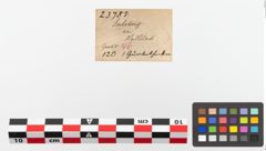 Etiketten zu Eisengürtelhaken (NHMW-PRAE-023785)